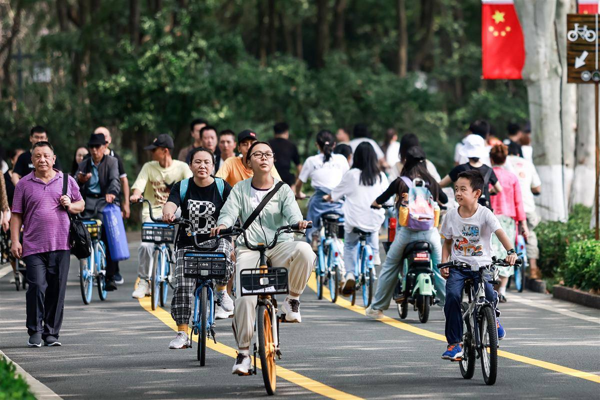云顶集团40011官网